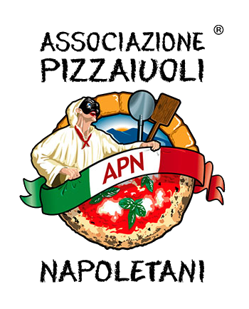 apn logo 01